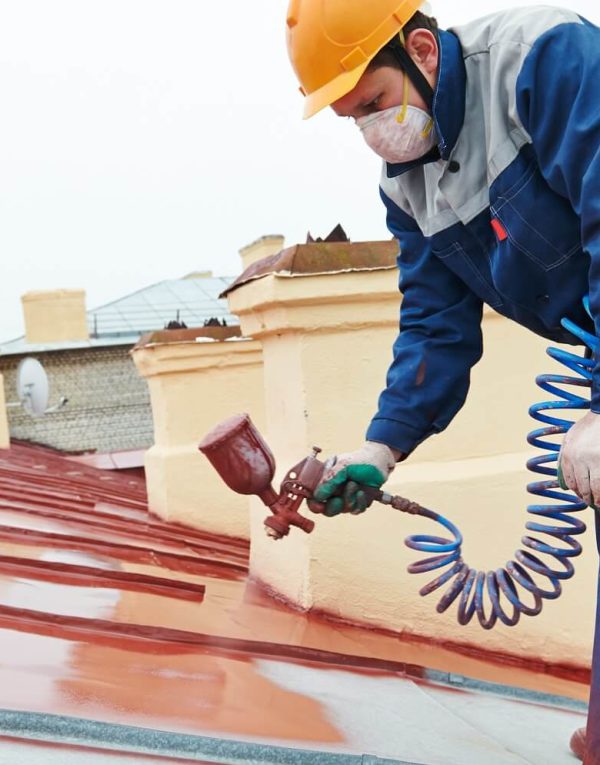 Roof Painting